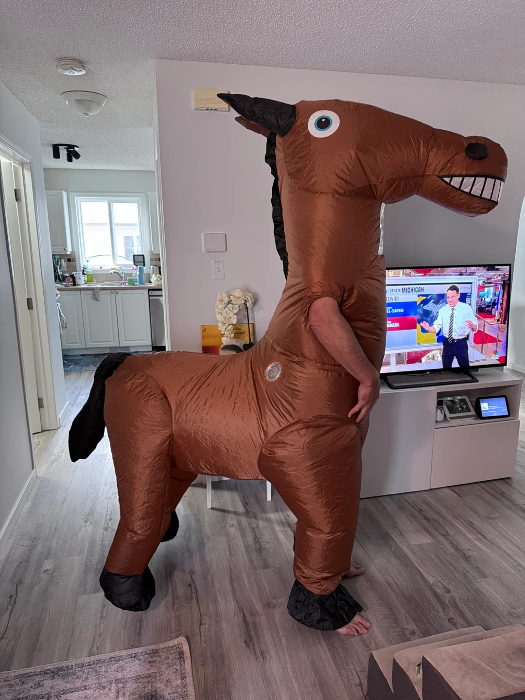 Inflatable Horse Costume, adult unisex