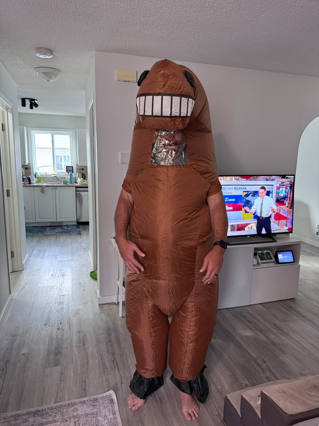 Inflatable Horse Costume, adult unisex - photo 2