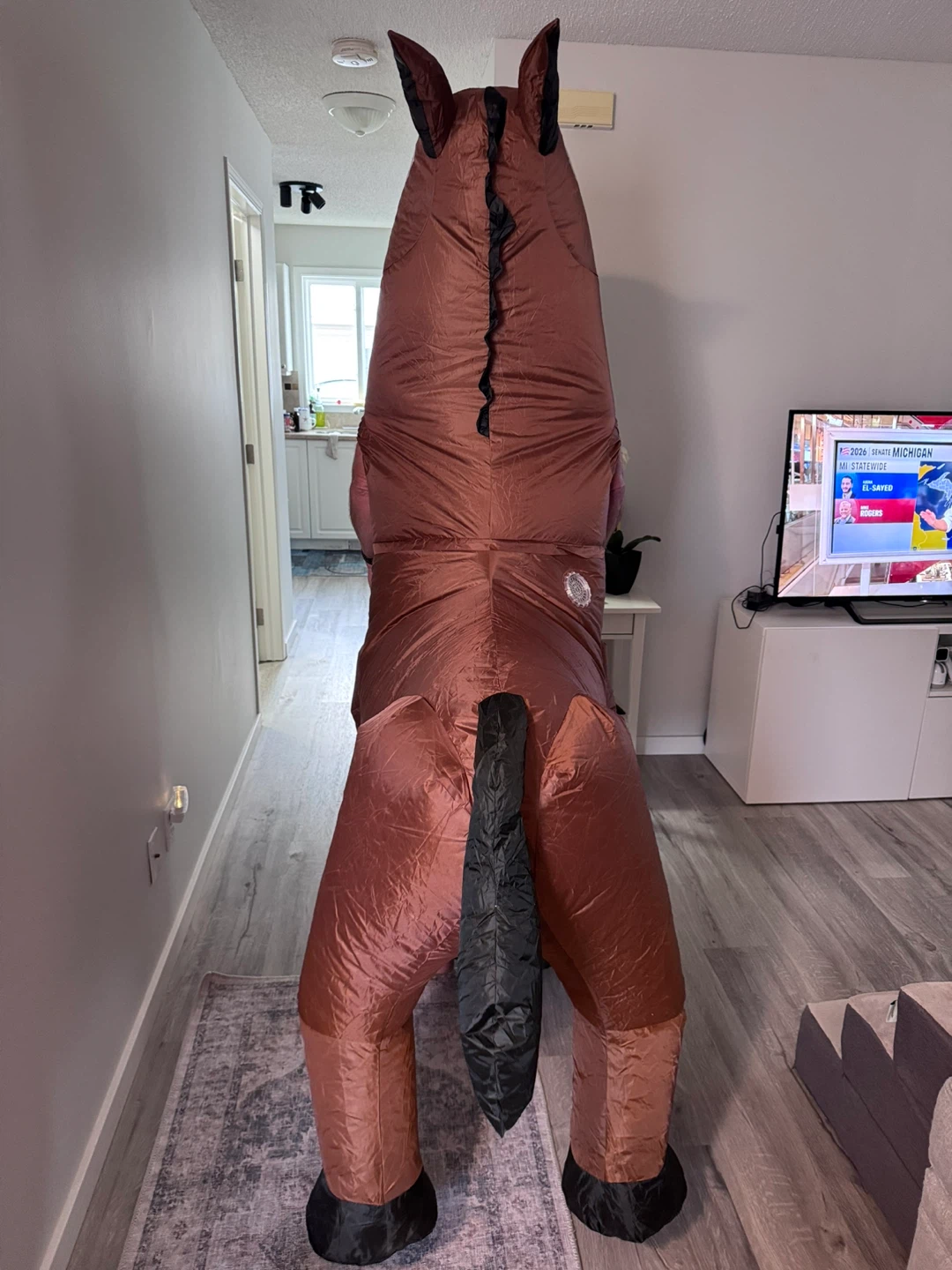 Inflatable Horse Costume, adult unisex - photo 3