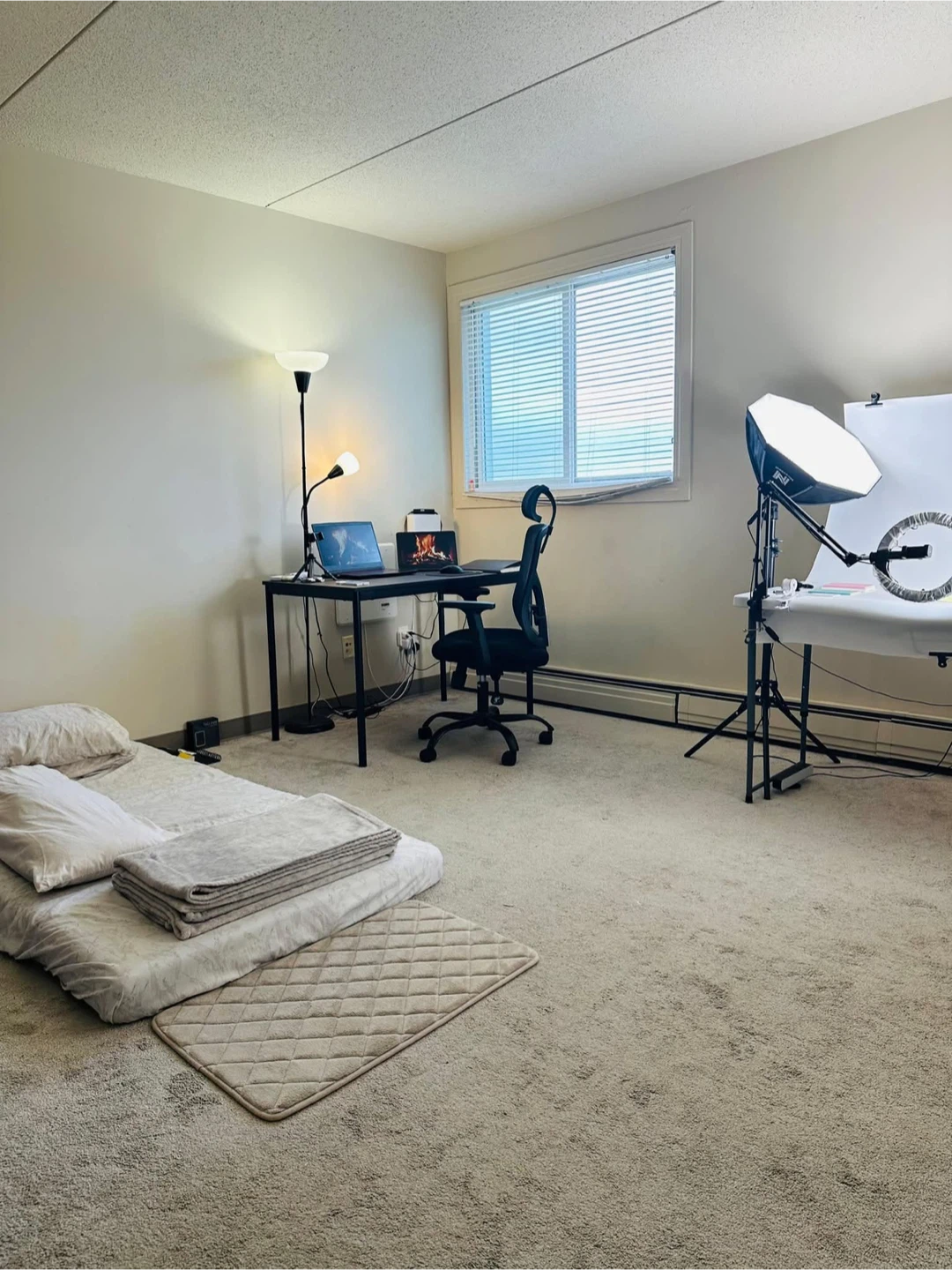 Private Master bedroom for rent beside Pembina Plaza - photo 4