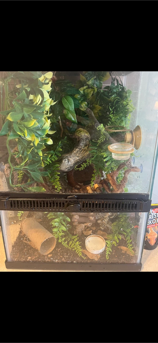 Reptile Terrarium (Zilla 12x12x18)