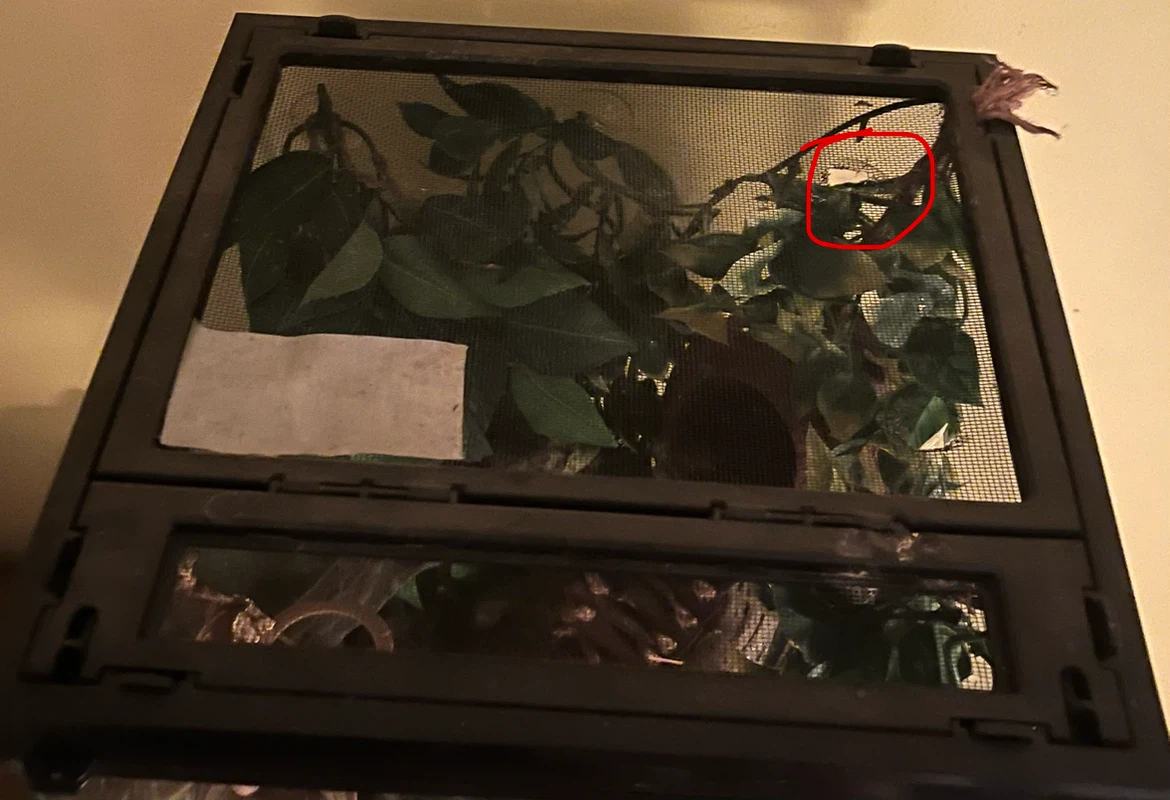 Reptile Terrarium (Zilla 12x12x18) - photo 2