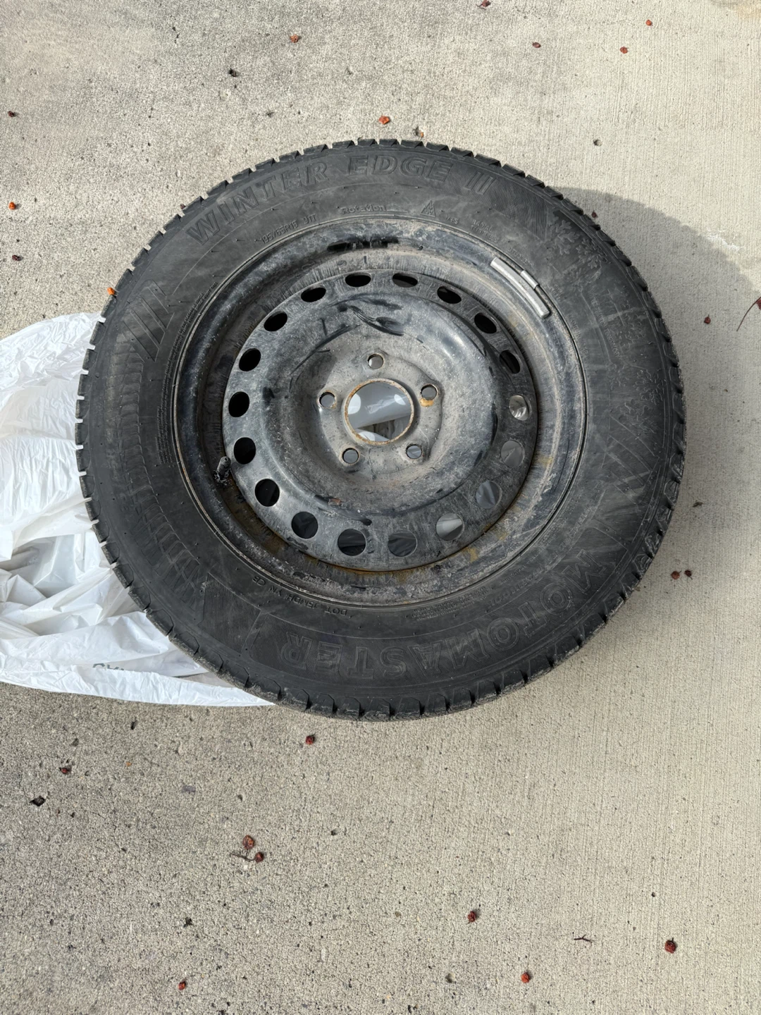 Motomaster Winter Edge II Tire on Rim