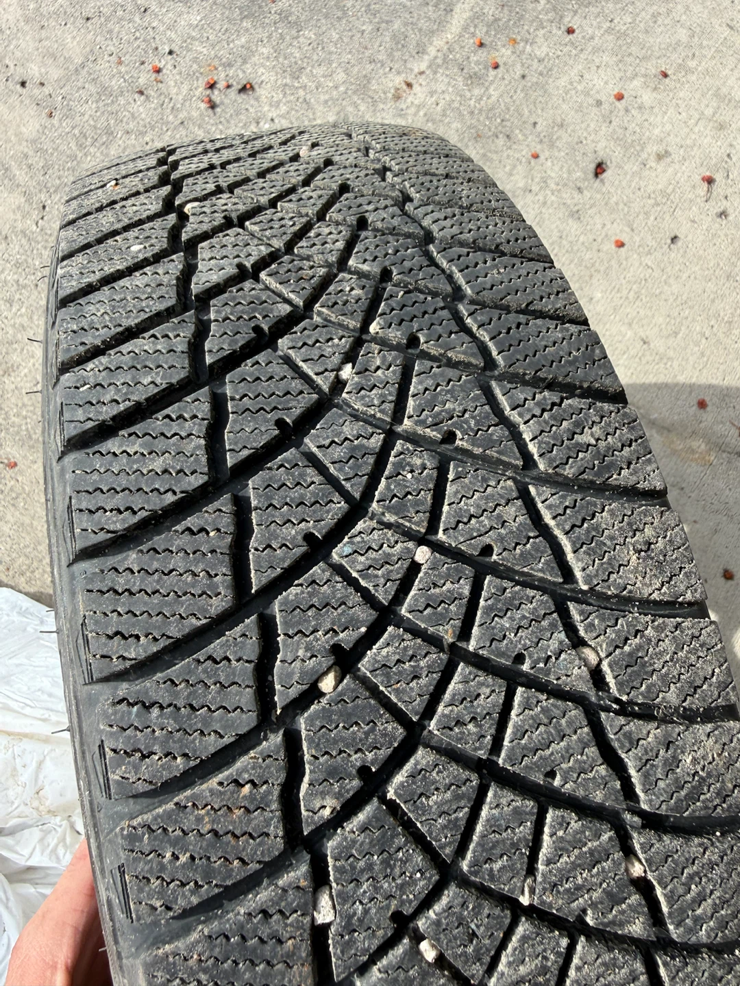 Motomaster Winter Edge II Tire on Rim - photo 3