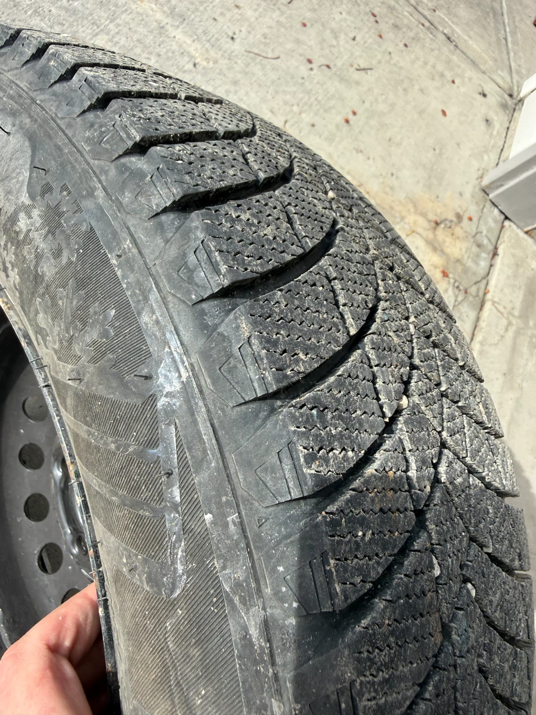 Motomaster Winter Edge II Tire on Rim - photo 4