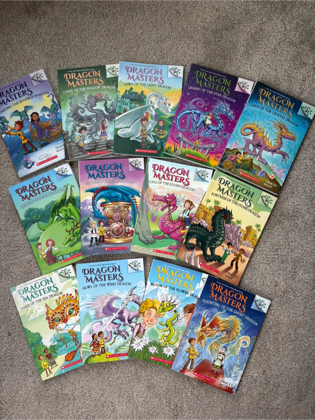 Dragon Masters Scholastic Book Set