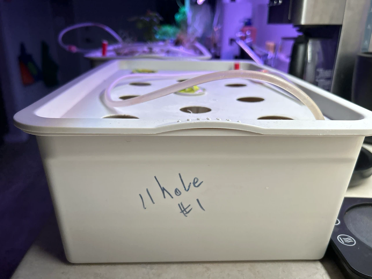 11-hole x2 hydroponic grow tubs with air lines and air stones. - photo 2
