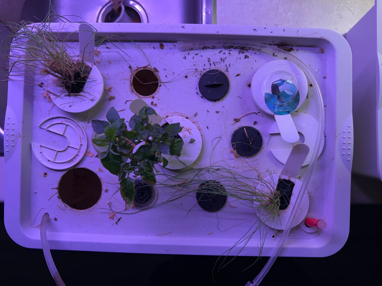 11-hole x2 hydroponic grow tubs with air lines and air stones. - photo 3