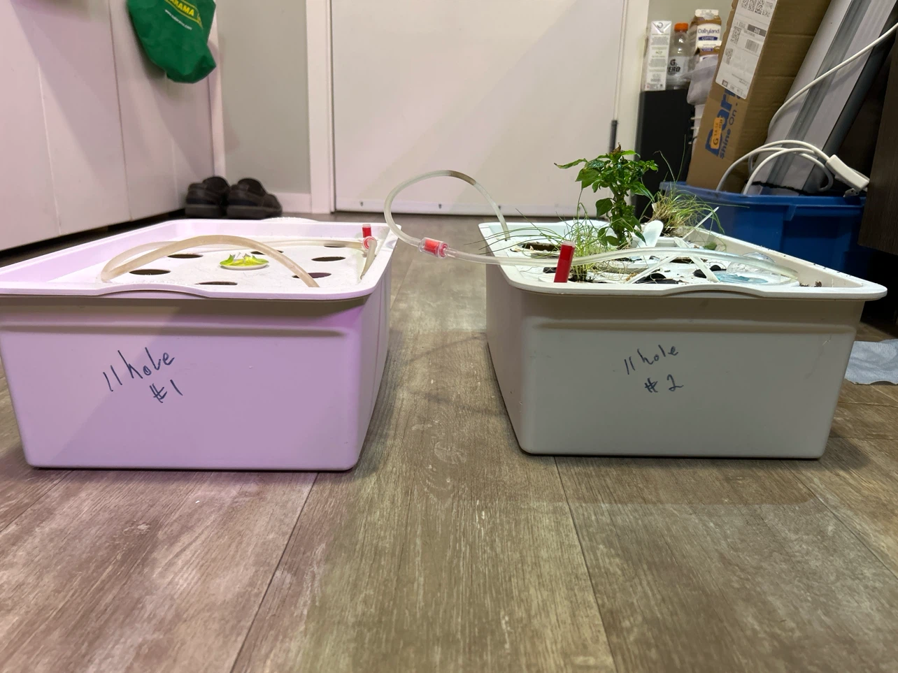 11-hole x2 hydroponic grow tubs with air lines and air stones. - photo 4