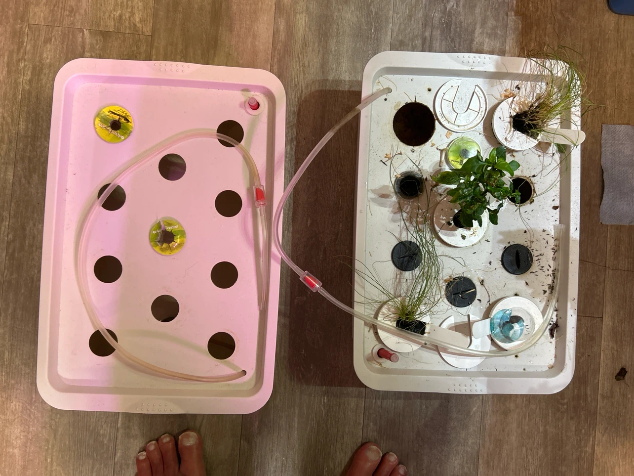 11-hole x2 hydroponic grow tubs with air lines and air stones. - photo 5