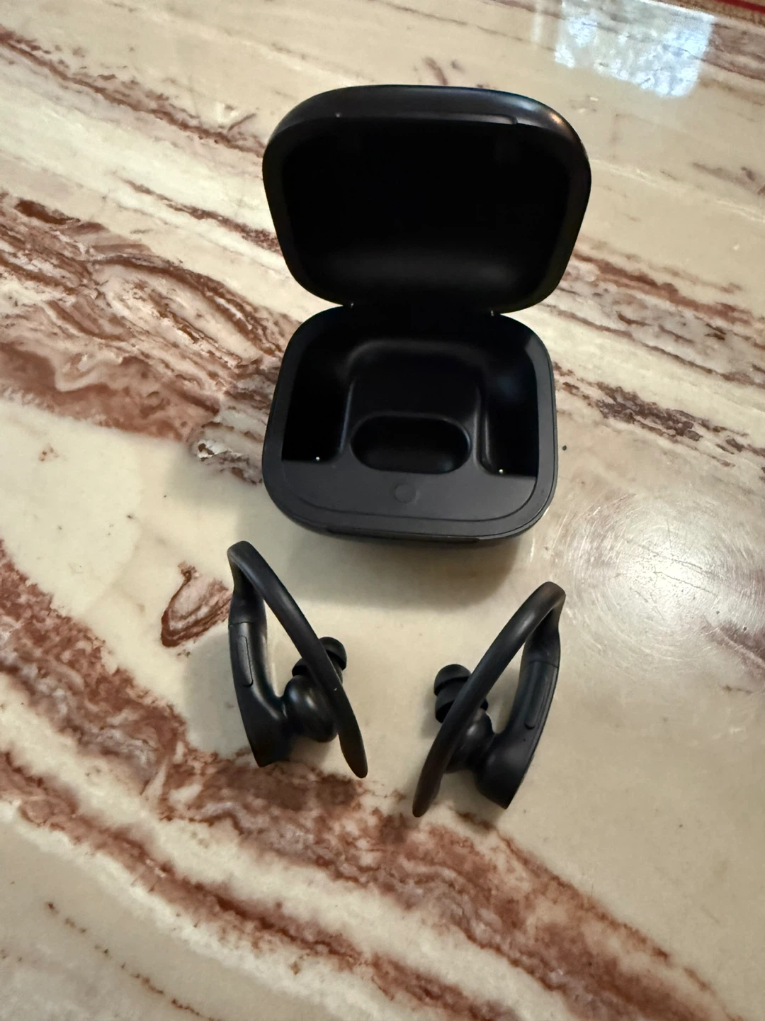 Beats Powerbeats Pro Earbuds - Black