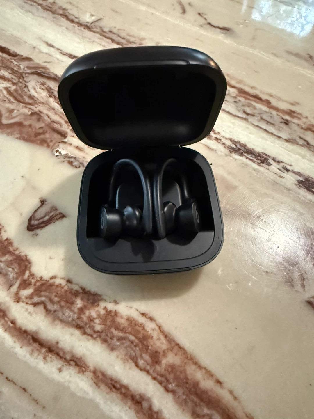 Beats Powerbeats Pro Earbuds - Black - photo 2