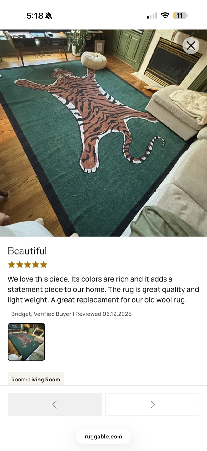 Jonathan Adler Tiger Flatwoven Rug - photo 5