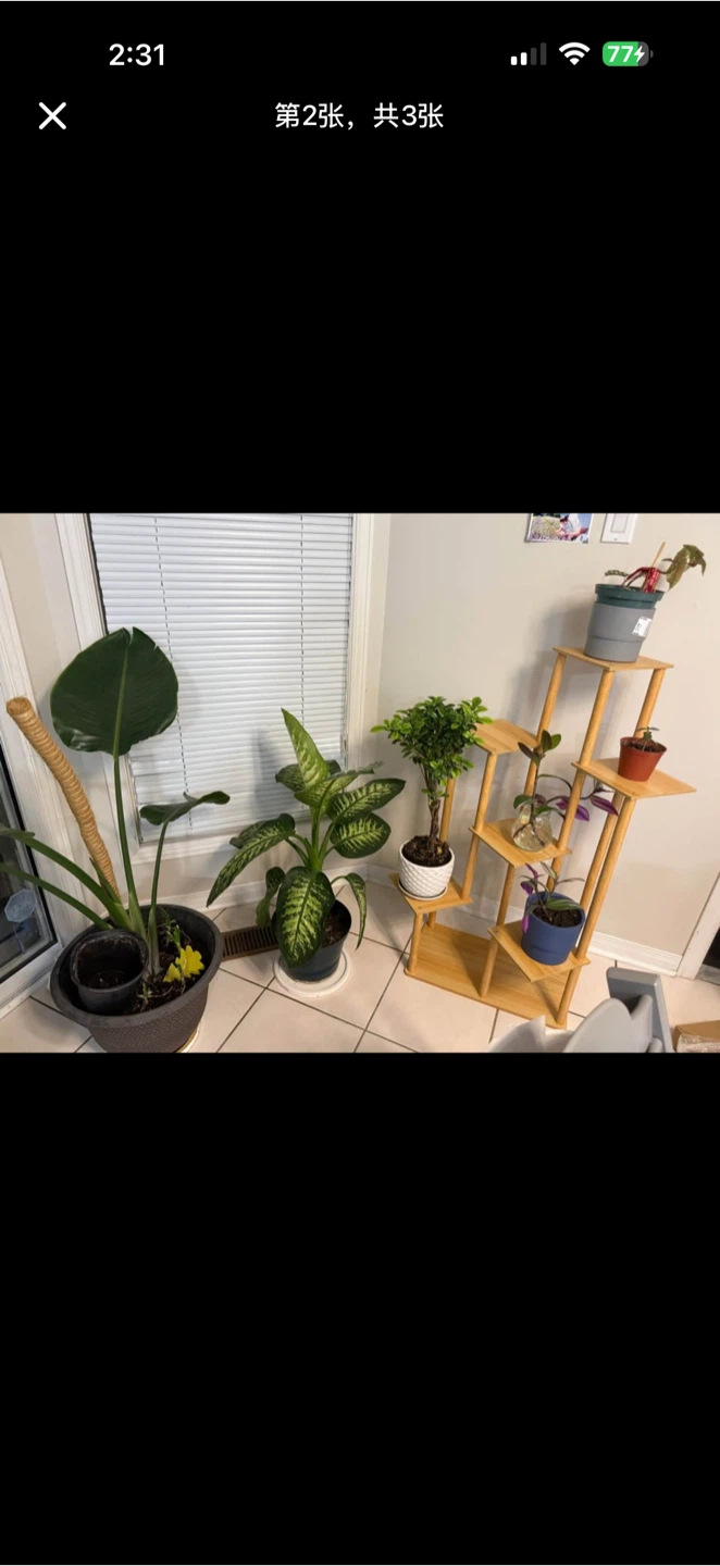 Seven-tier wood grain plant stand - photo 2