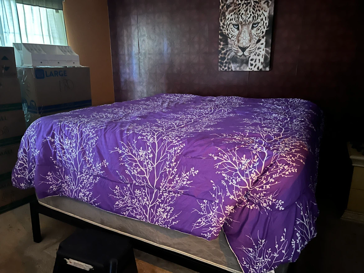 California king bed frame and two mattresses