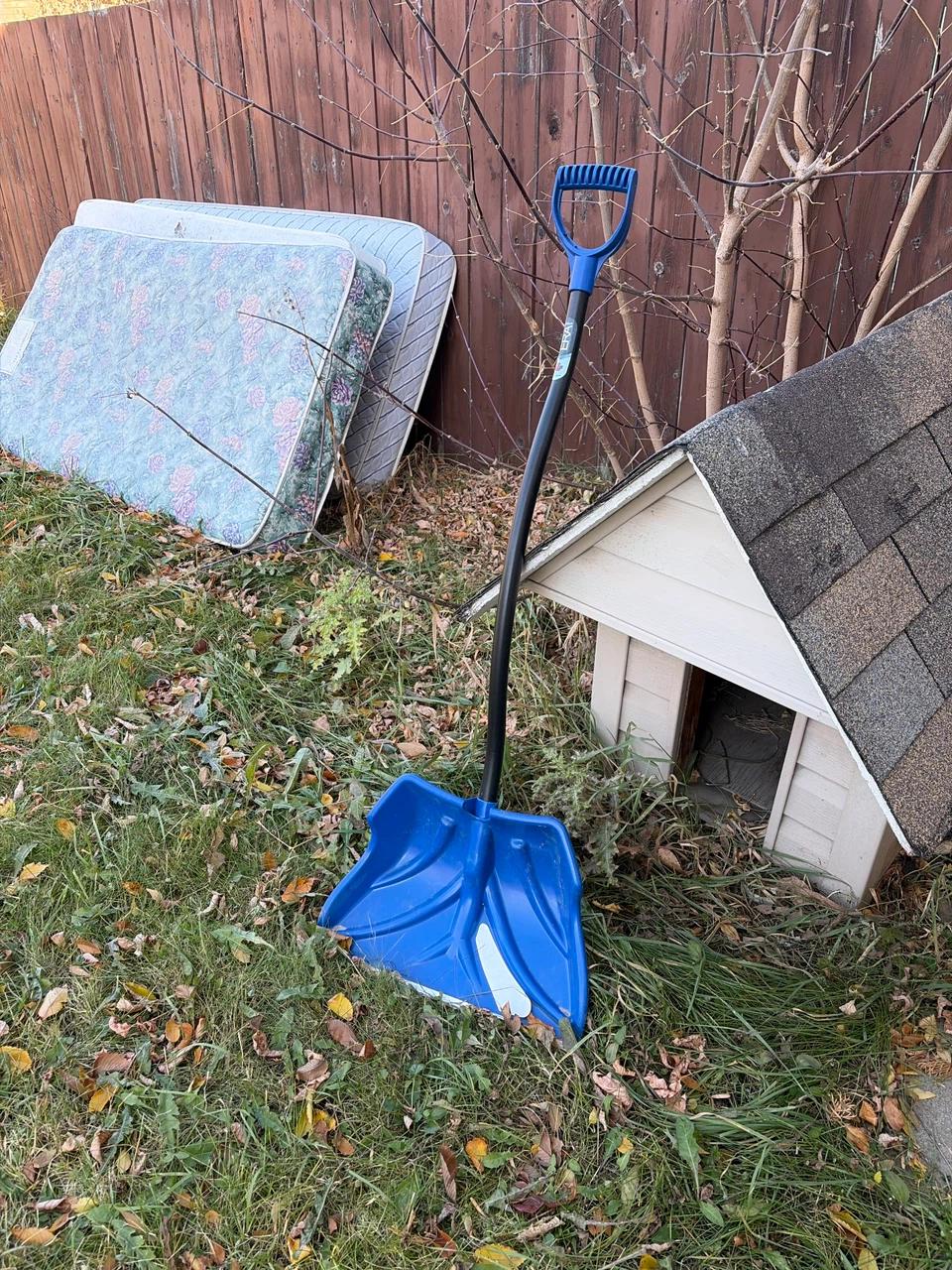 Era Snow Shovel