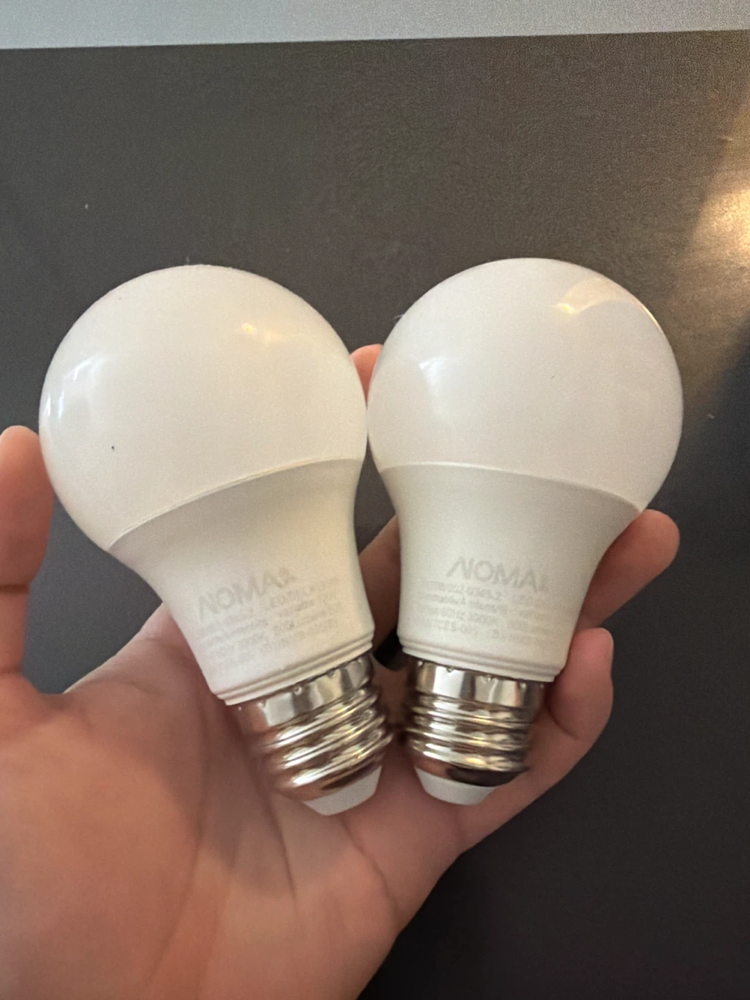 Two NOMA LED Light Bulbs A19 9W 800 lumen