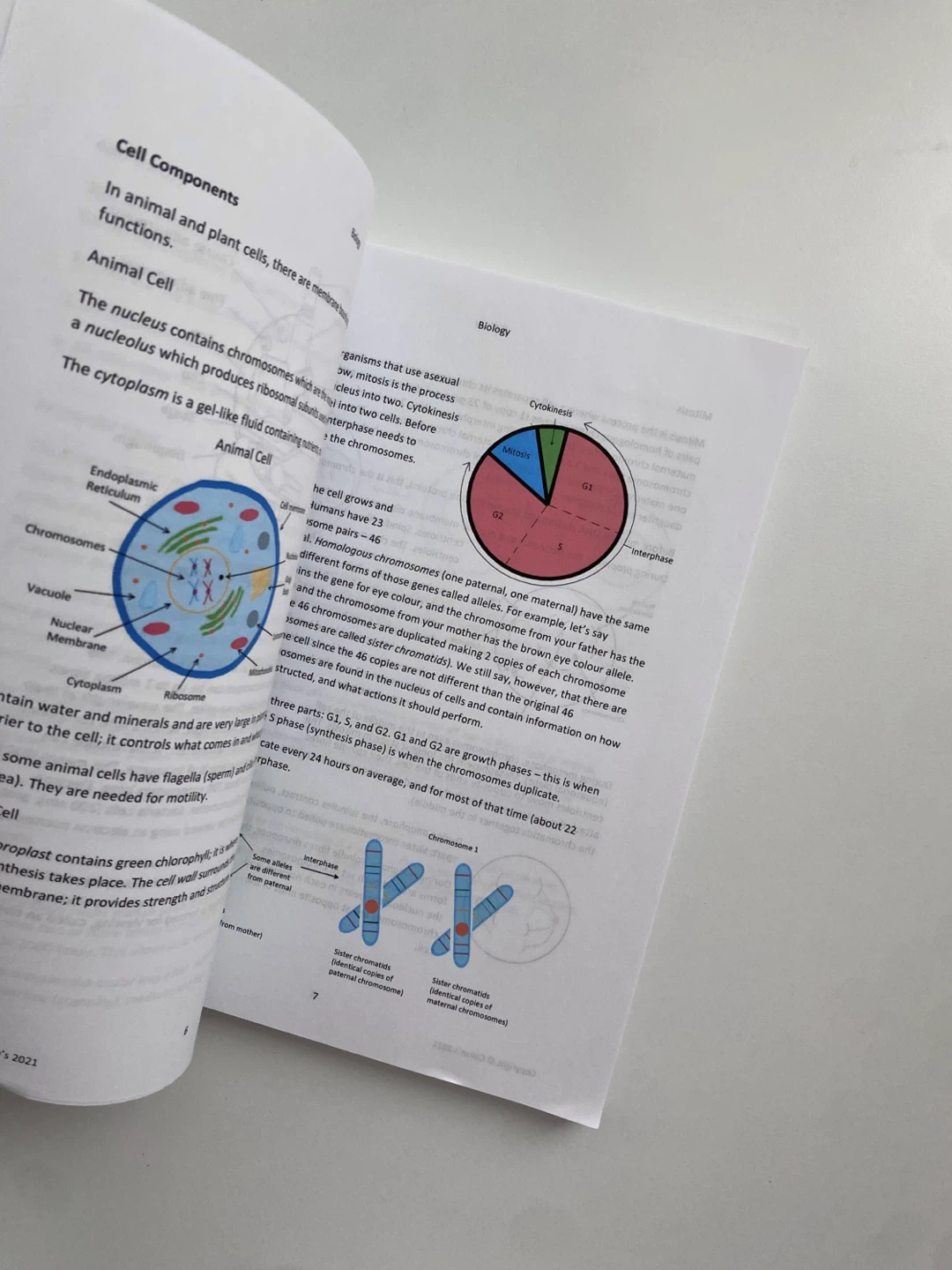 Science Notes & Workbook