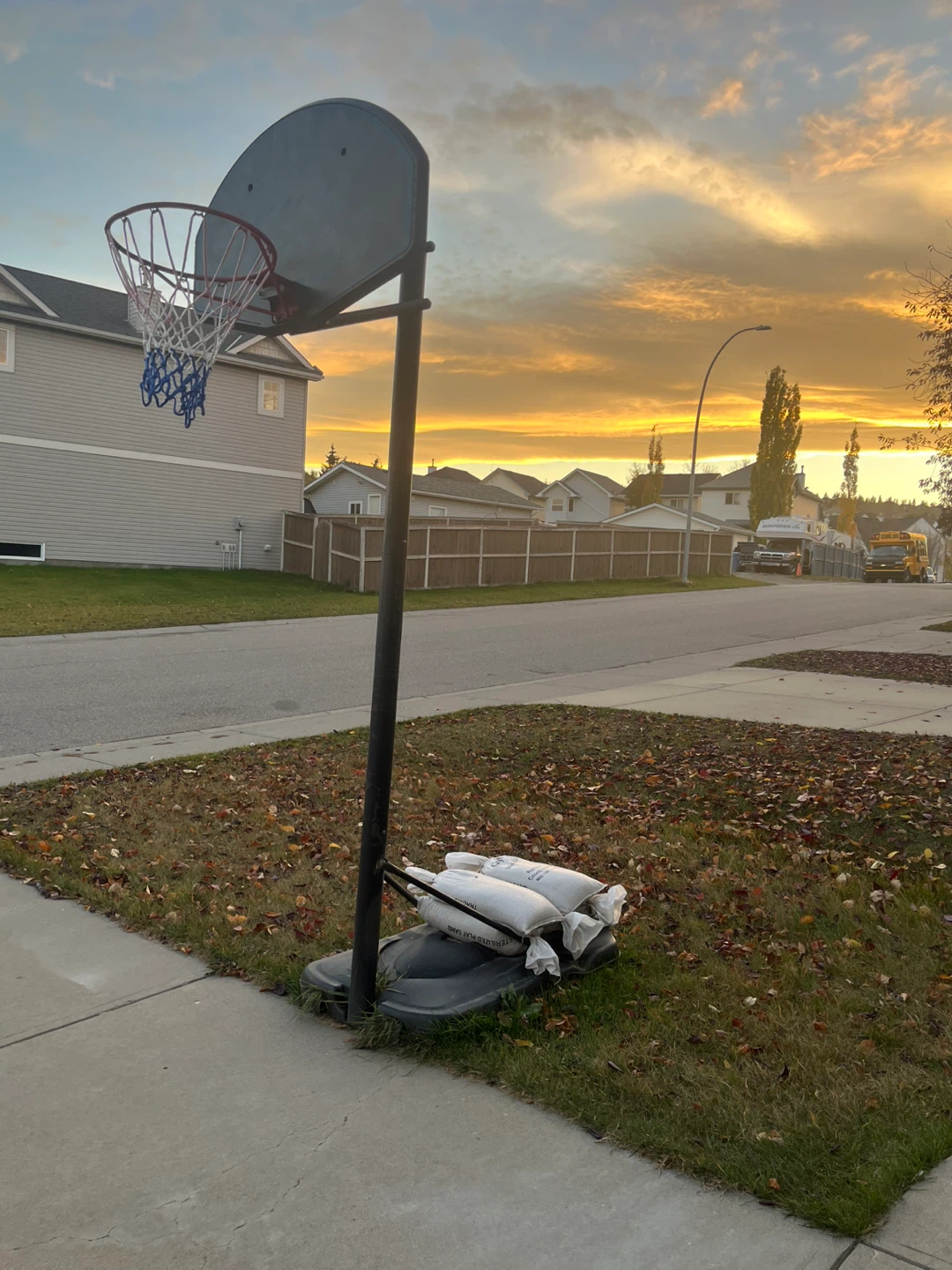 Portable Basketball System