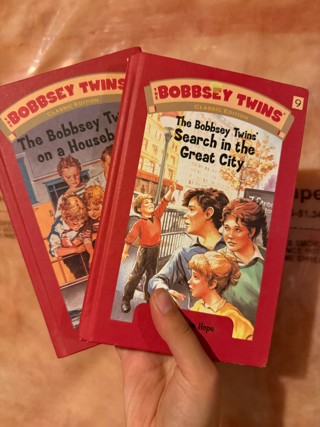 The Bobbsey Twins Classic Edition 2 Book Set