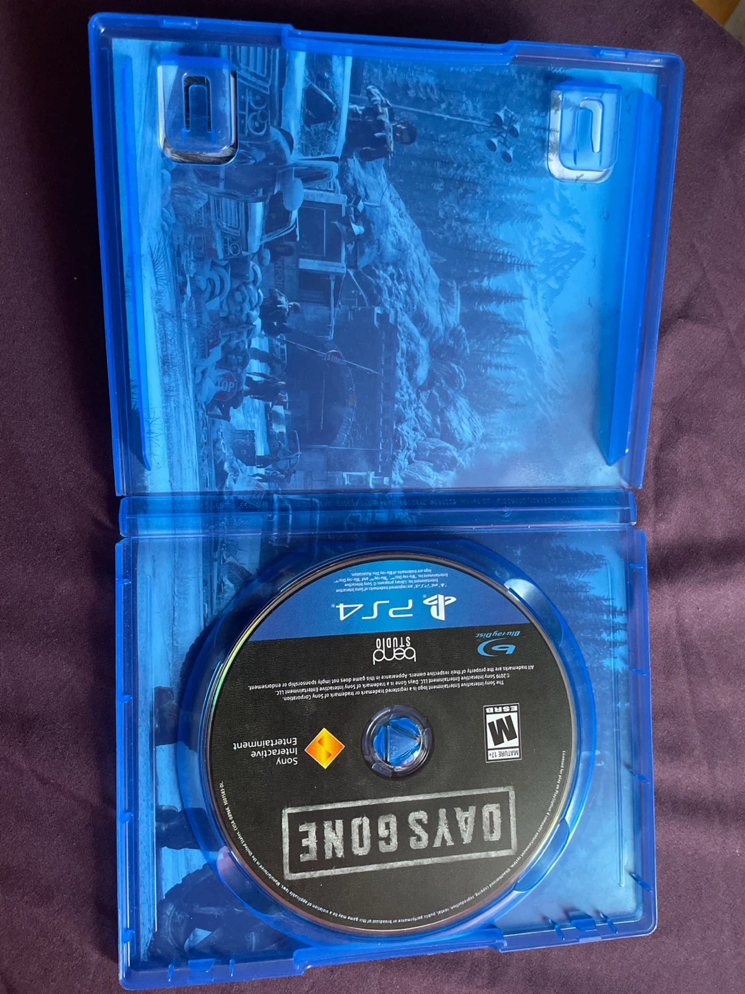 Days Gone for PlayStation 4 - photo 2