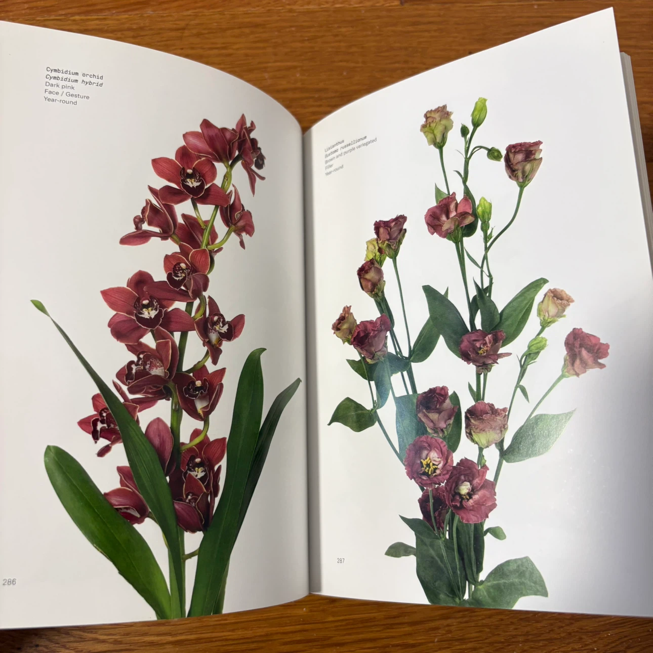 Phaidon Flower Colour Design Guide Book Photography - photo 4