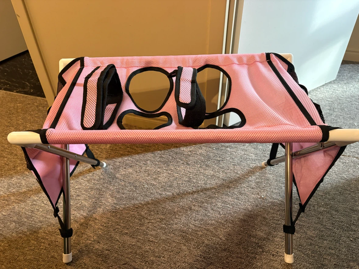 Pink Grooming Table for Pets