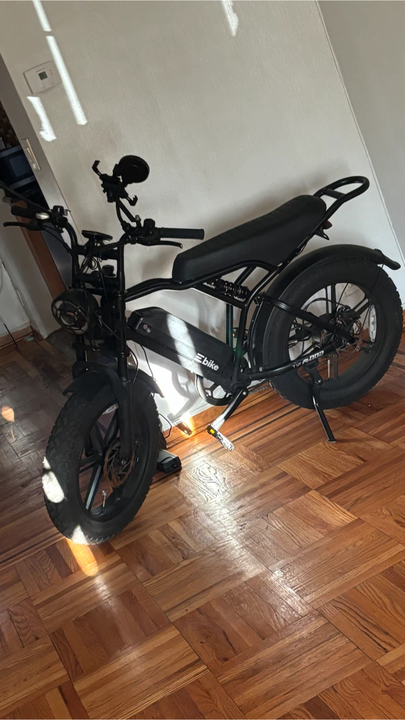 Electric bike (TST R002)