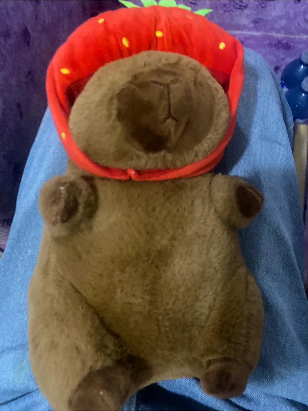 Strawberry Hat Capybara Plush - photo 2