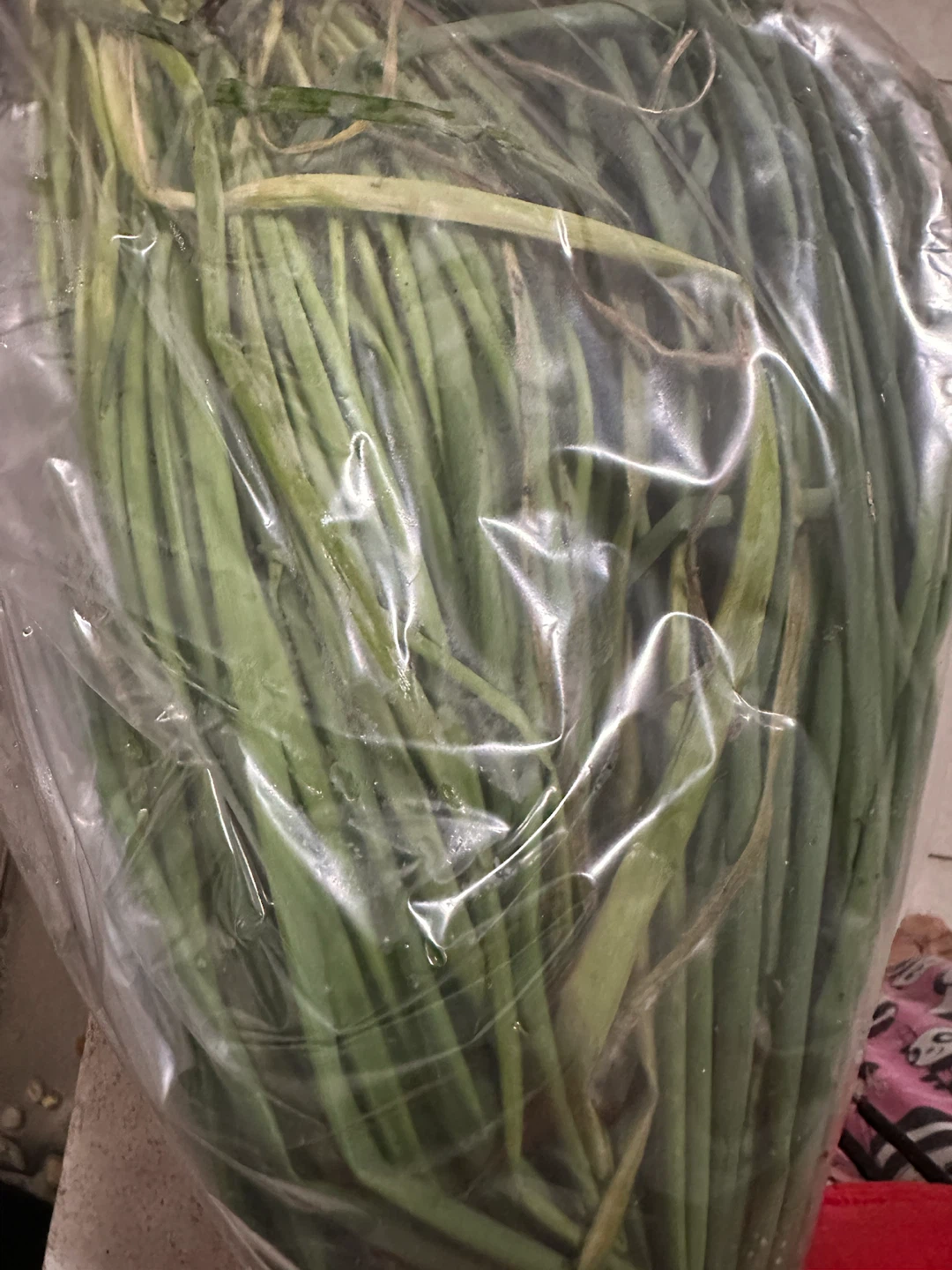 Fresh Green Onions