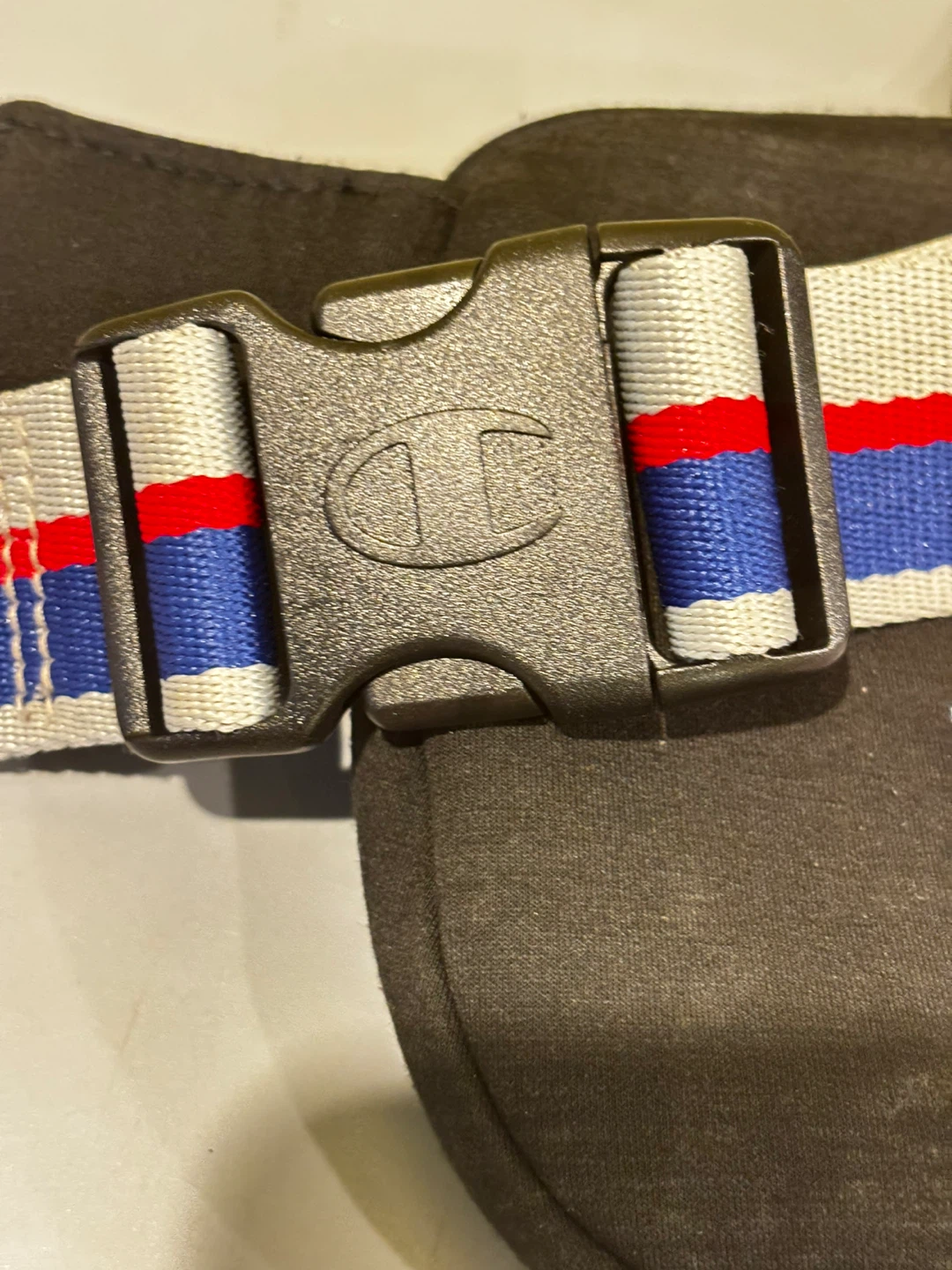 Champion Belt Bag - photo 5