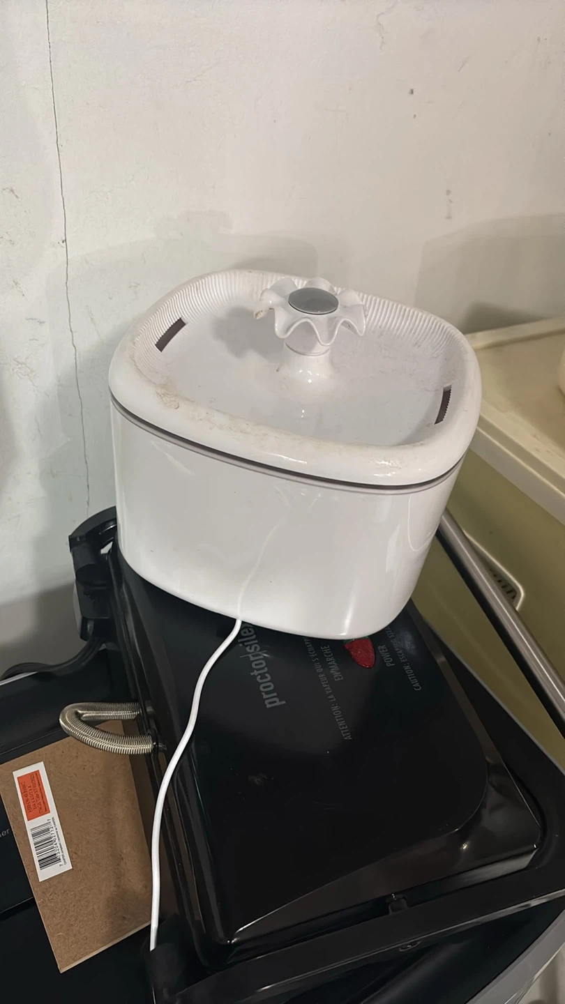 Pet Water Fountain