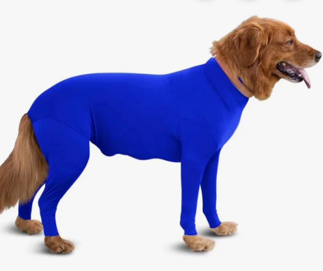 Blue Dog Full Body Suit shed defender