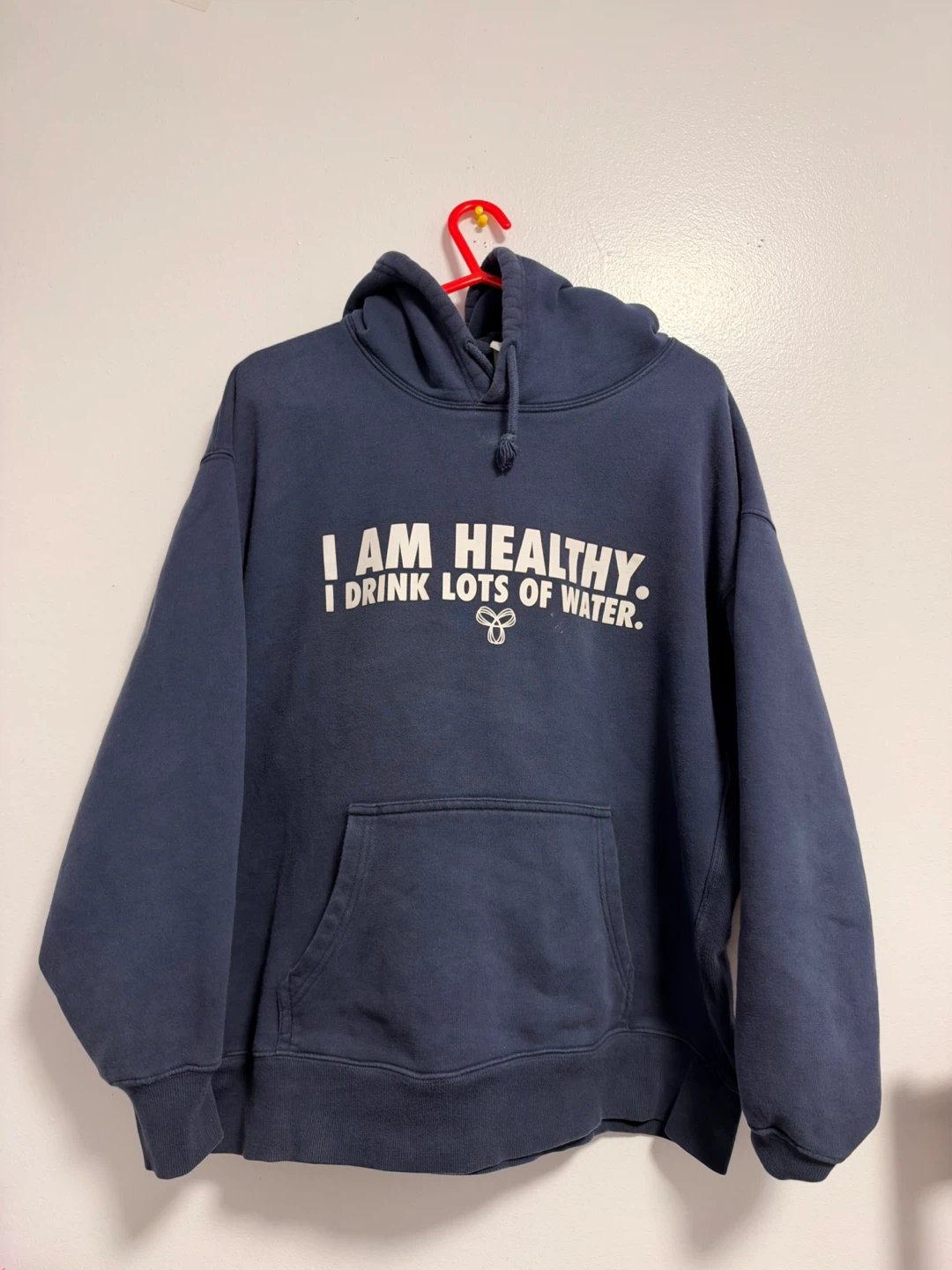 Tna Cozy Fleece Boyfriend Hoodie