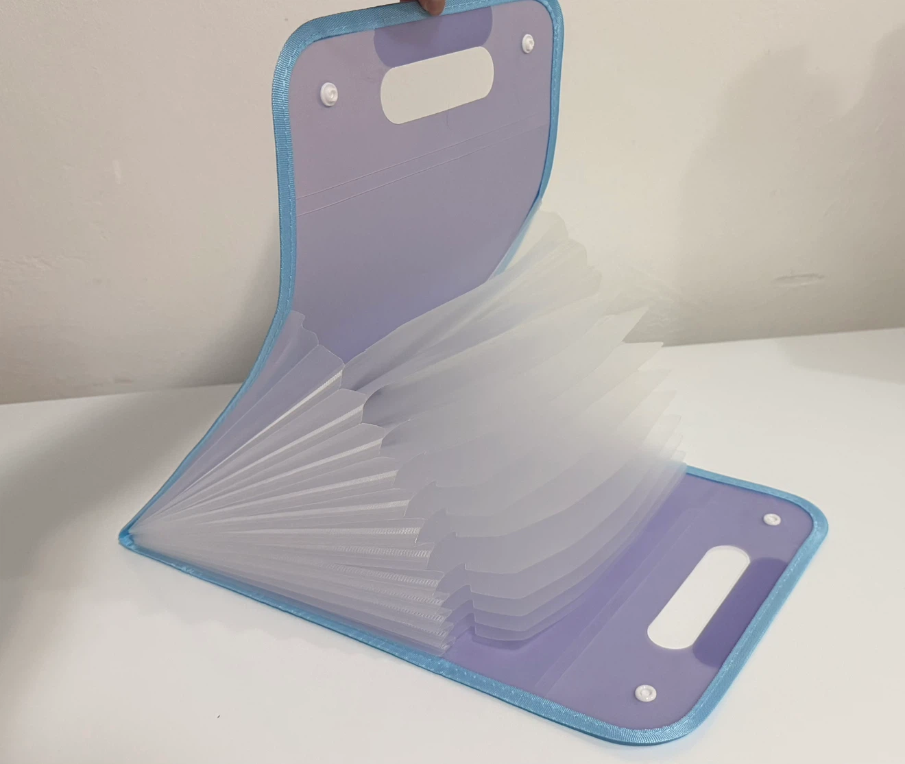 Expanding Accordion File Folder