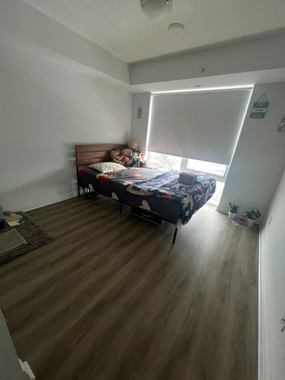 Private room for rent - Scarborough - photo 3