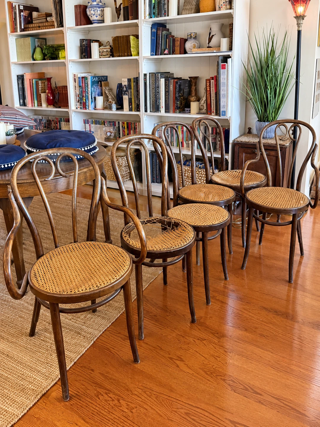 Vintage Thonet-Style Bentwood & Cane Chairs | Set of 4 - photo 2