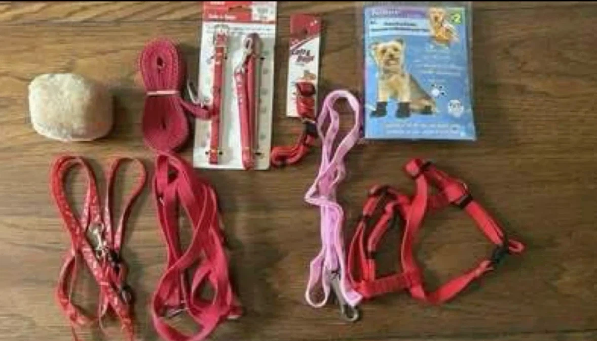 Dog leashes, collars, etc (All new) (All Free)