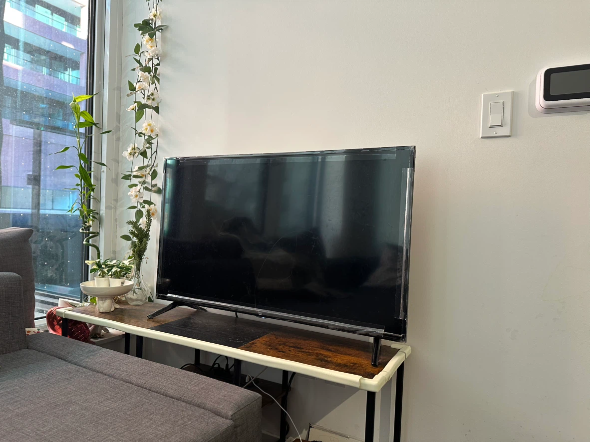 Television