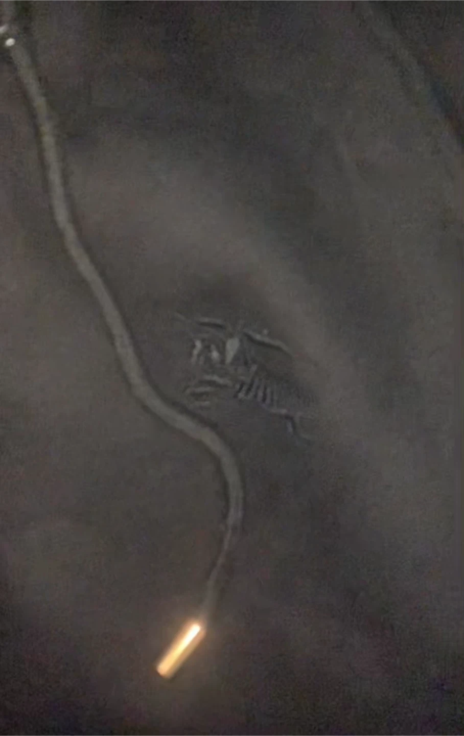 Burberry Black Zip-Up Hoodie - photo 4