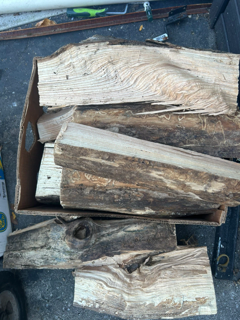 Premium ash fire wood $7