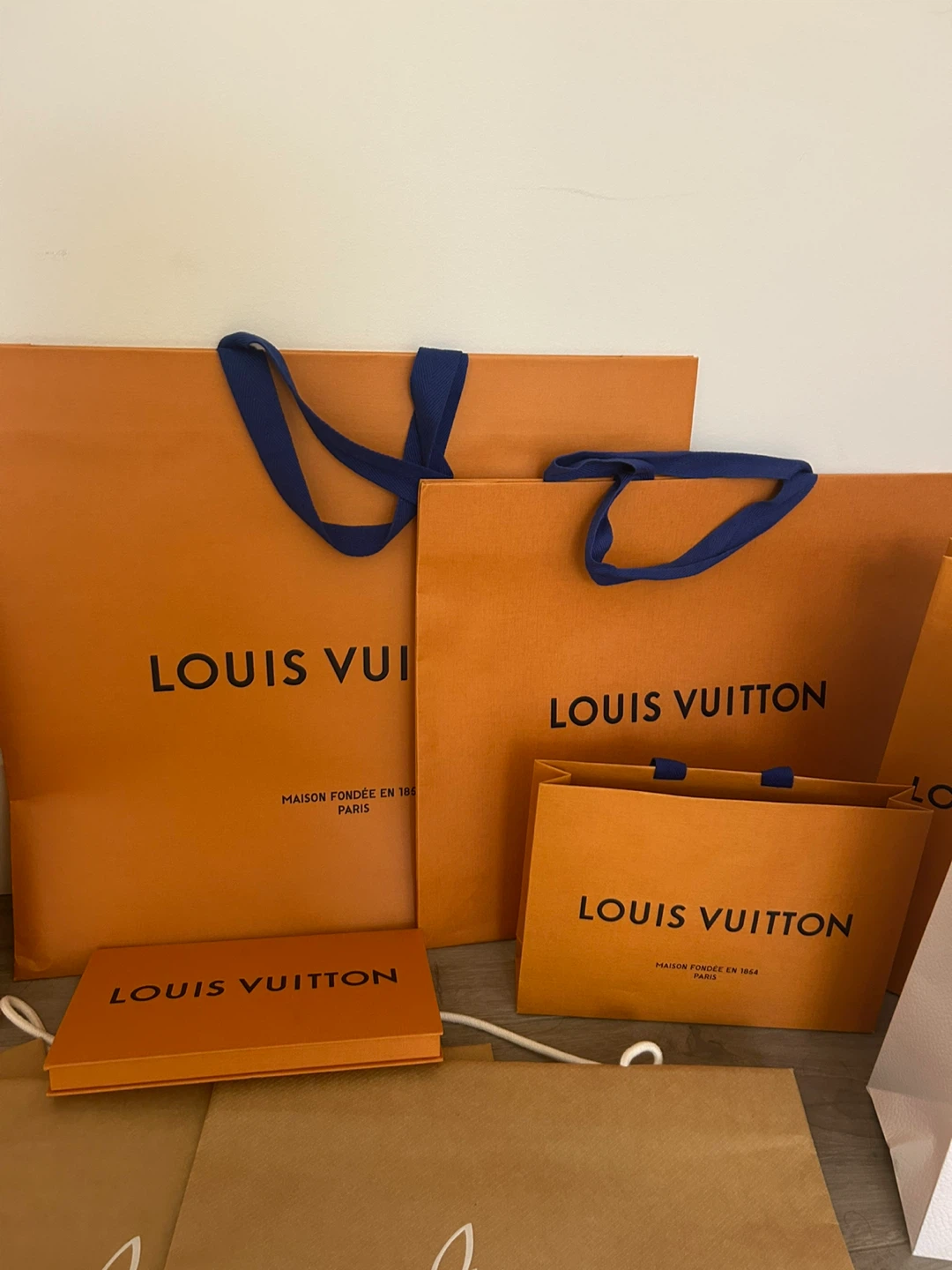 Luxury Designer Shopping Bag Collection - photo 3