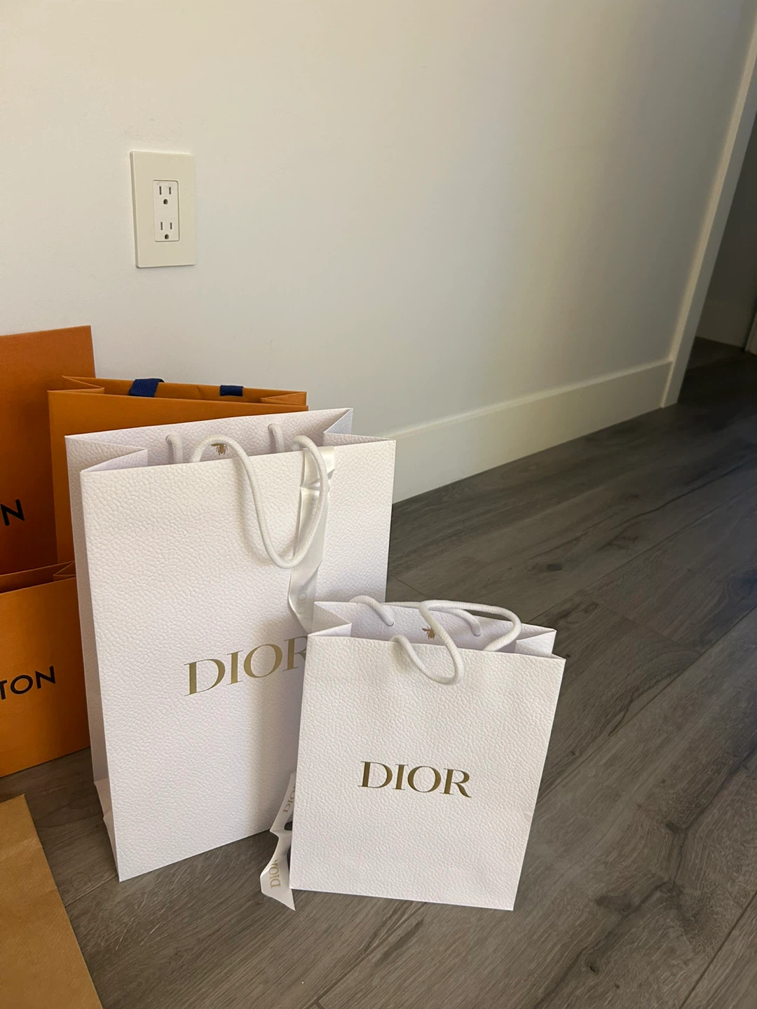 Luxury Designer Shopping Bag Collection - photo 4