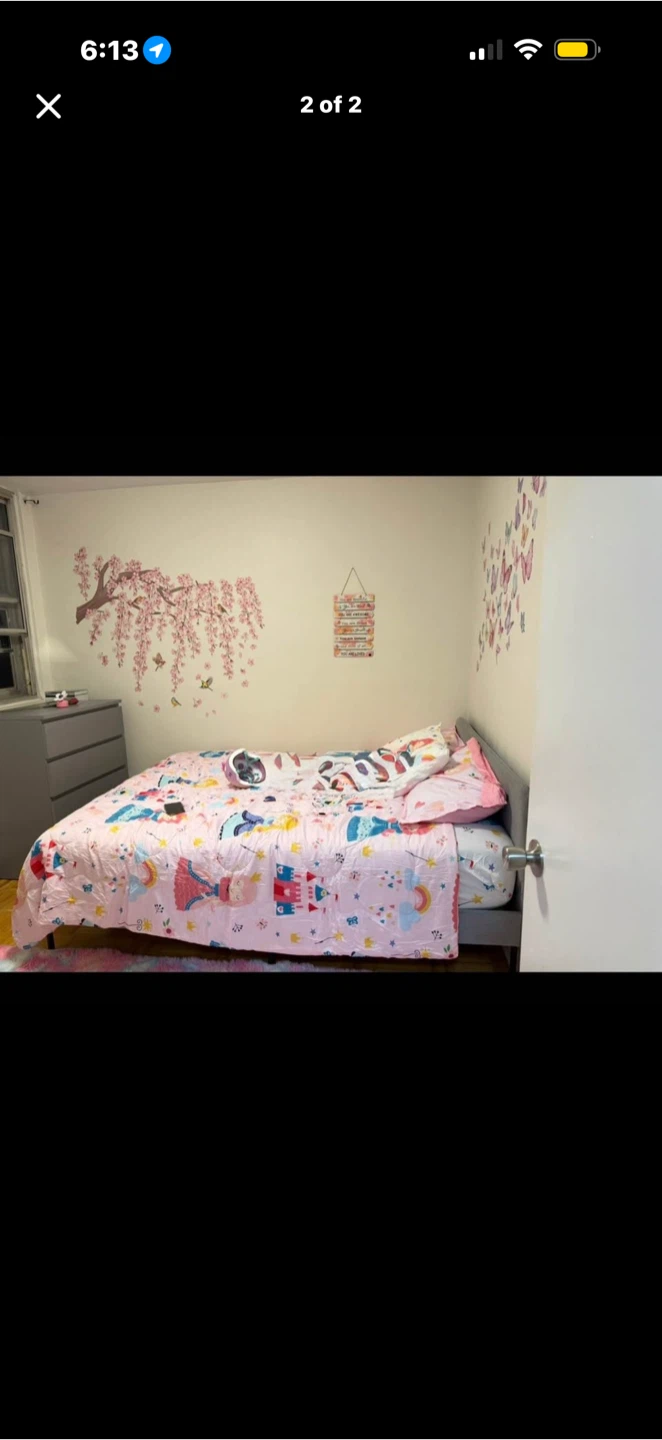 Free mattress, $100 for the bed frame - photo 2