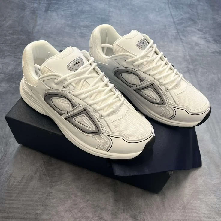 Dior B30 Sneakers White