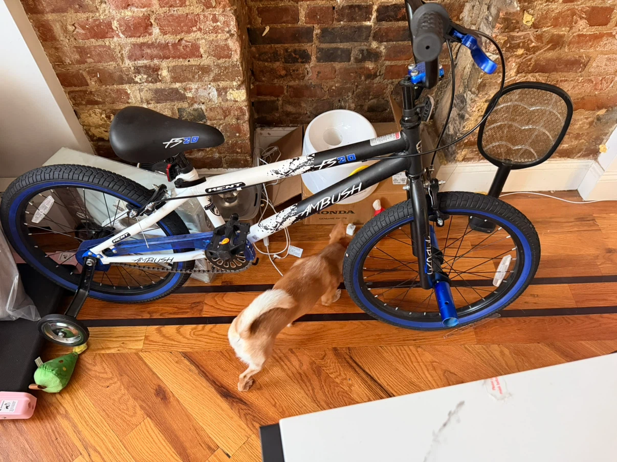 Kent Ambush FS20 Kids BMX Bike