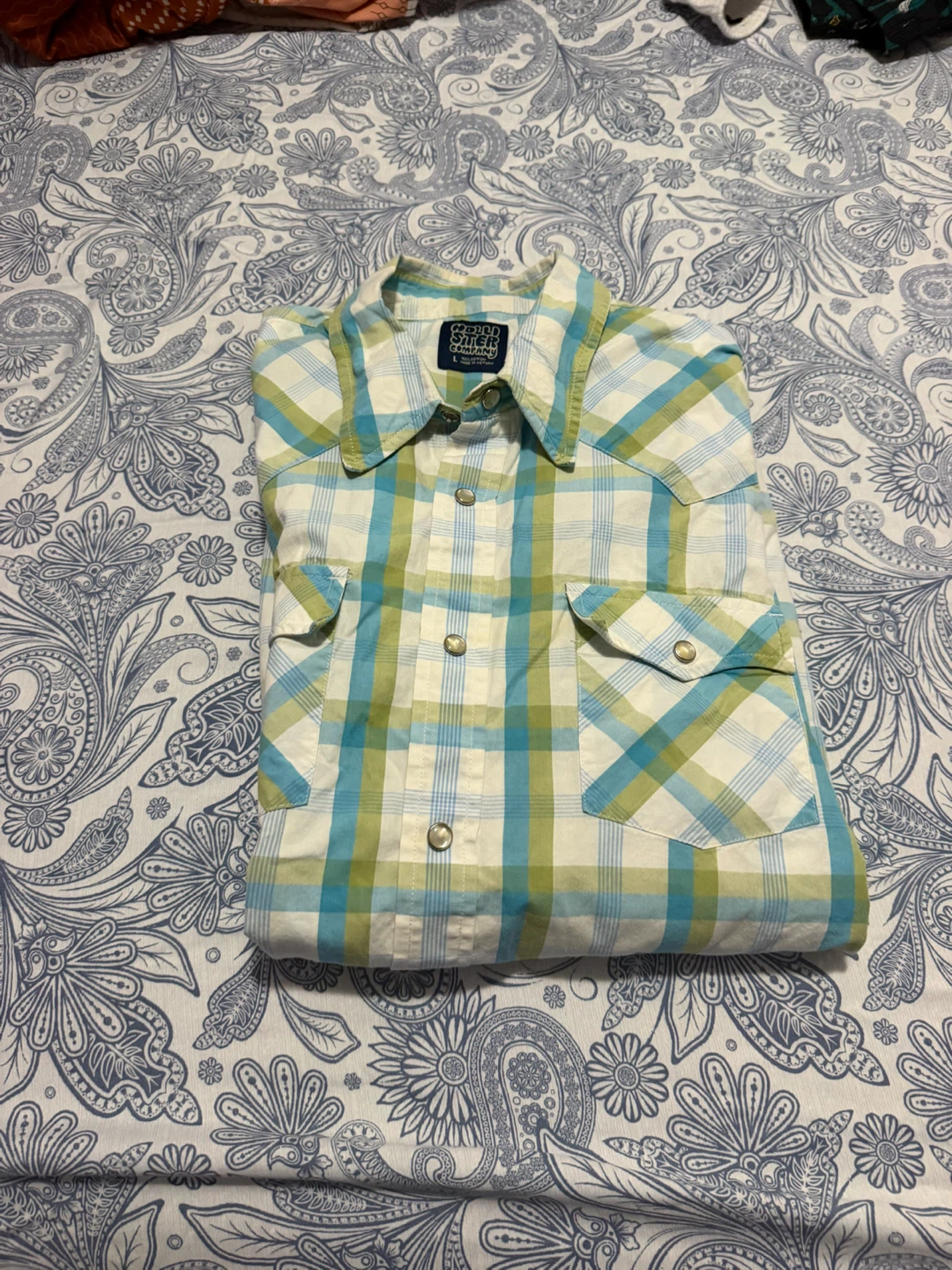 Hollister Plaid Long Sleeve Button-Down Shirt - photo 2