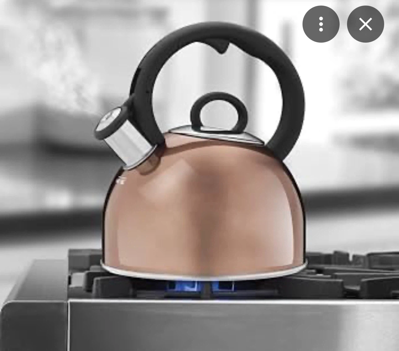 Cuisinart 1.9 L Tea Kettle