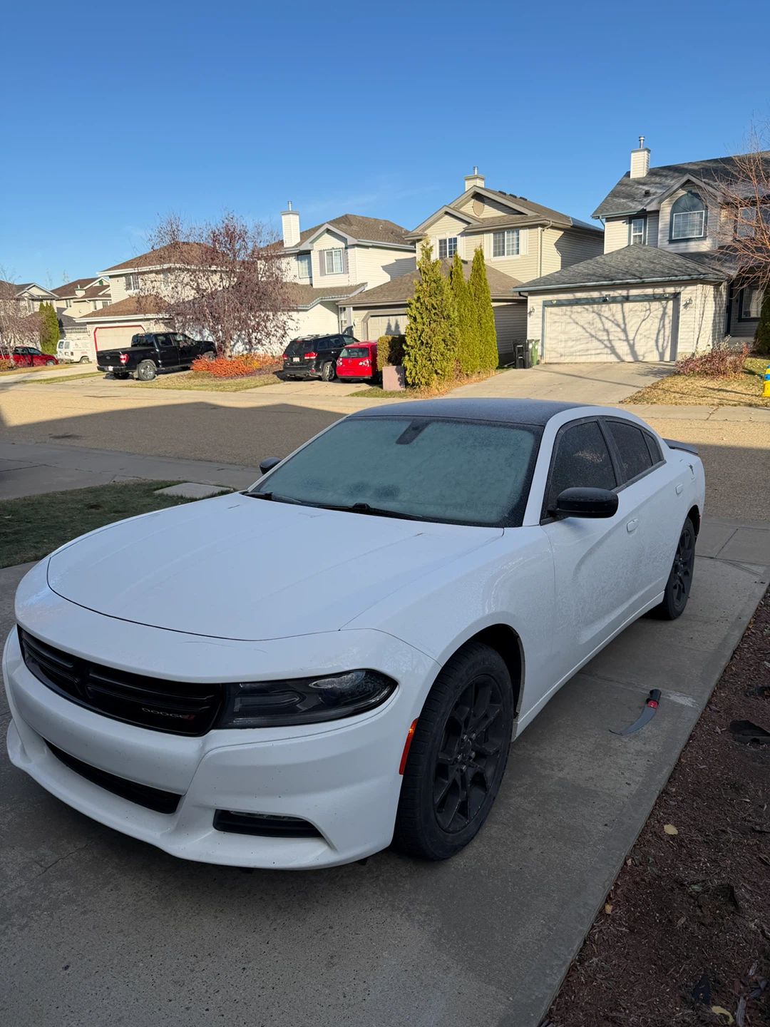 Dodge Charger White Sedan - photo 2