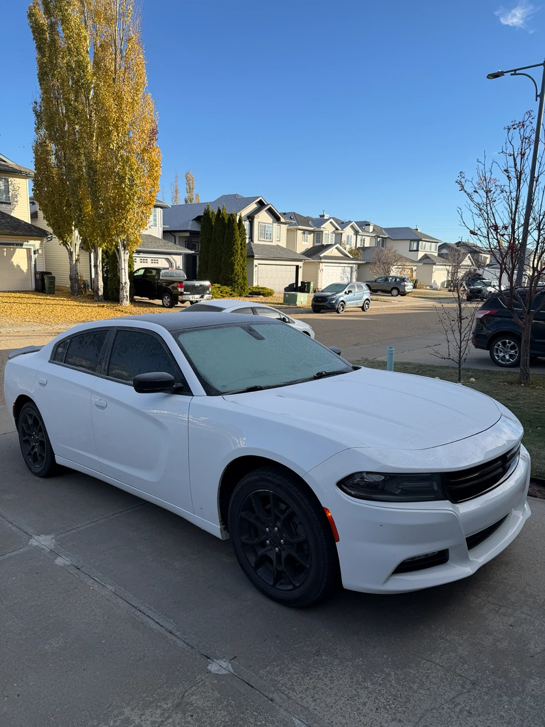 Dodge Charger White Sedan